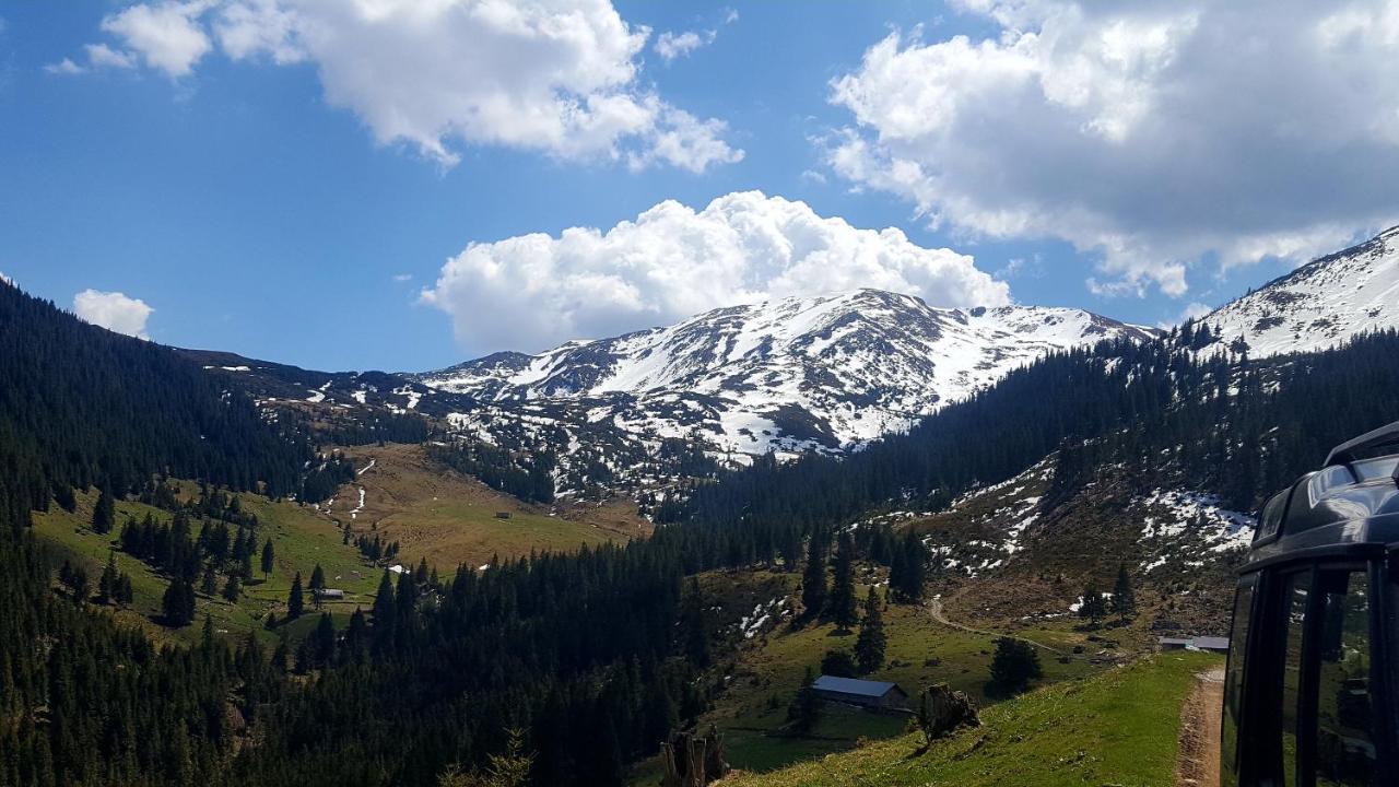 Cabana Rustic Борша Экстерьер фото