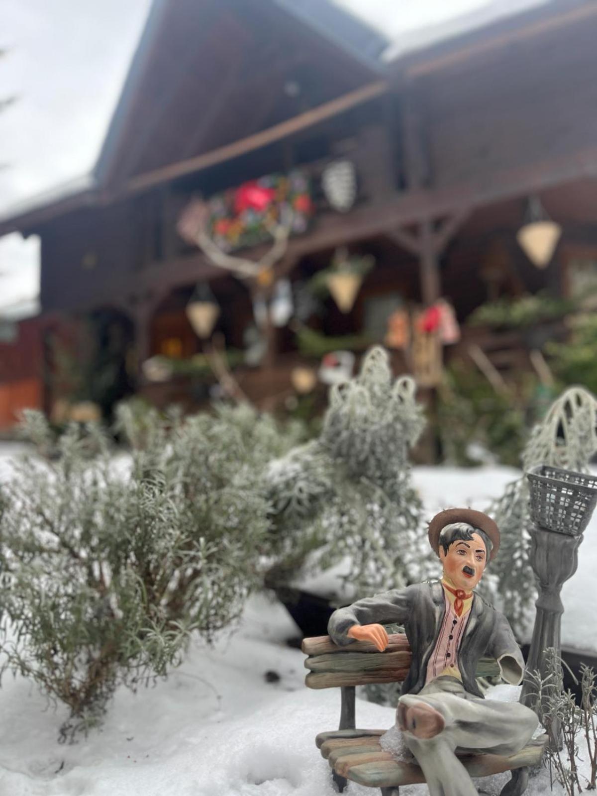 Cabana Rustic Борша Экстерьер фото