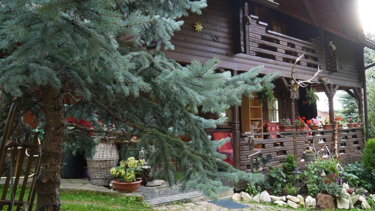 Cabana Rustic Борша Экстерьер фото