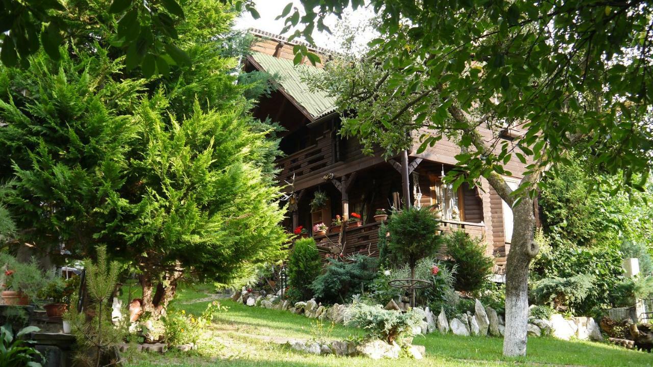 Cabana Rustic Борша Экстерьер фото