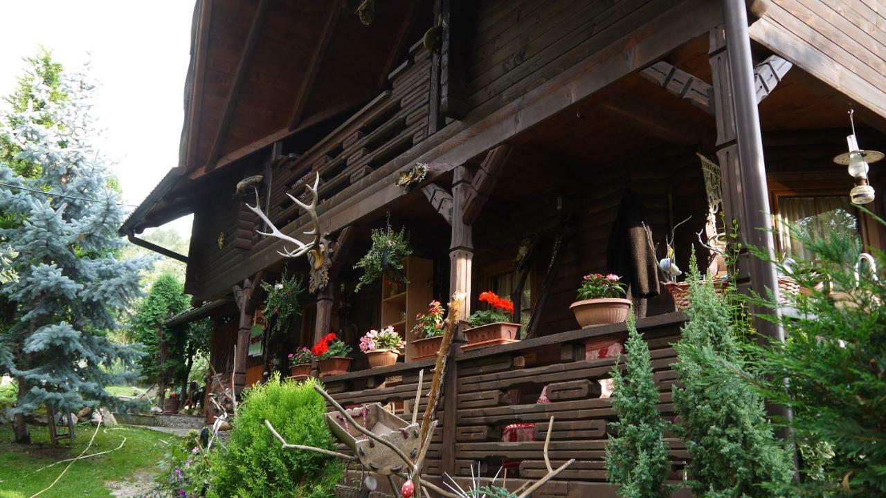 Cabana Rustic Борша Экстерьер фото