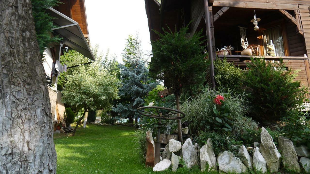 Cabana Rustic Борша Экстерьер фото