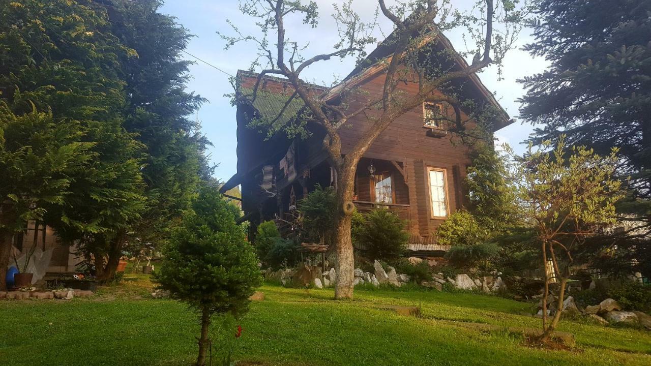 Cabana Rustic Борша Экстерьер фото
